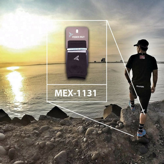 MEX1130